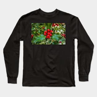 Christmas Holly Plant Long Sleeve T-Shirt